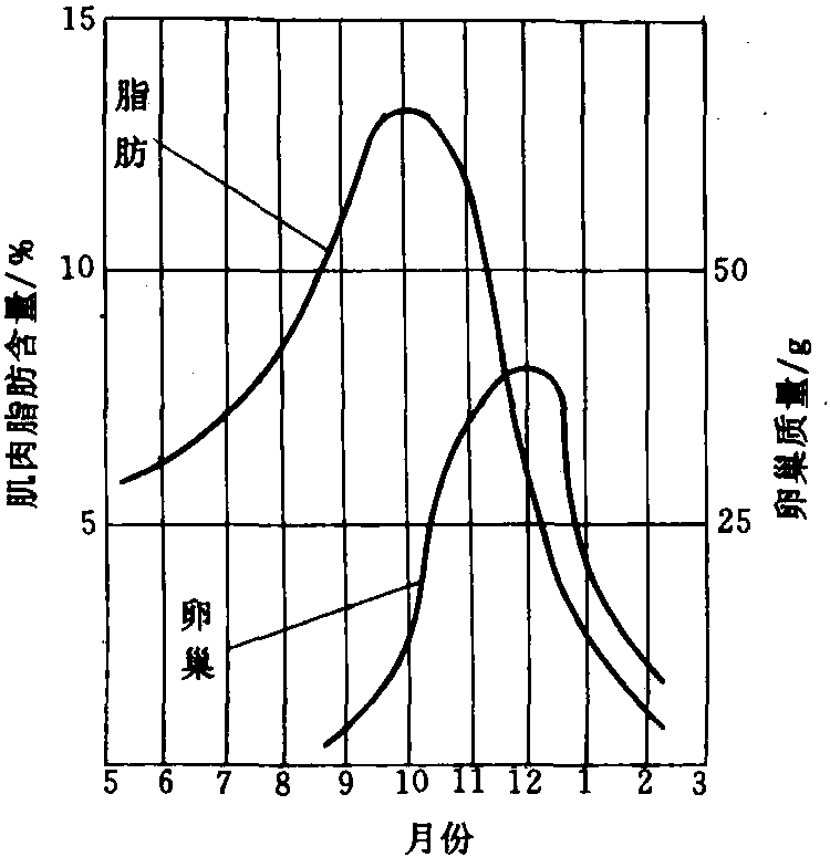 二、魚貝類的一般化學(xué)組成